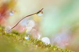 The Art of Light I