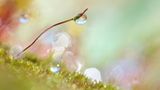 The Art of Light I