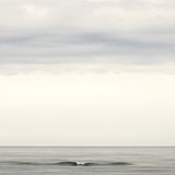 Naturfotografie: Gesichter des Ozeans: Der Antlantik