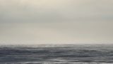 Naturfotografie: Gesichter des Ozeans: Der Antlantik - Bild 9