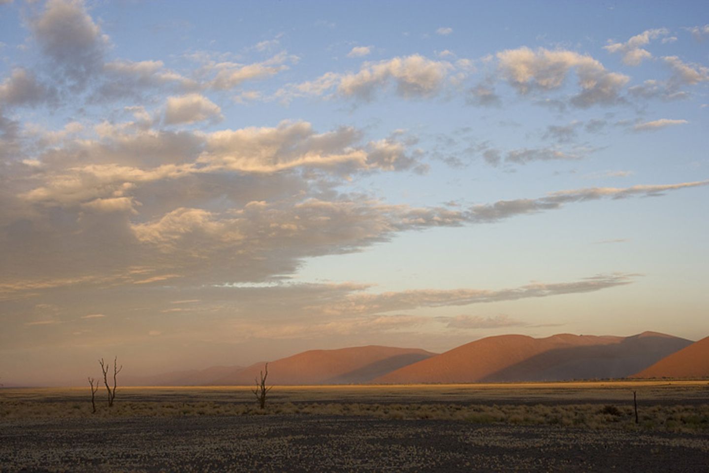 Dünen im Sossusvlei