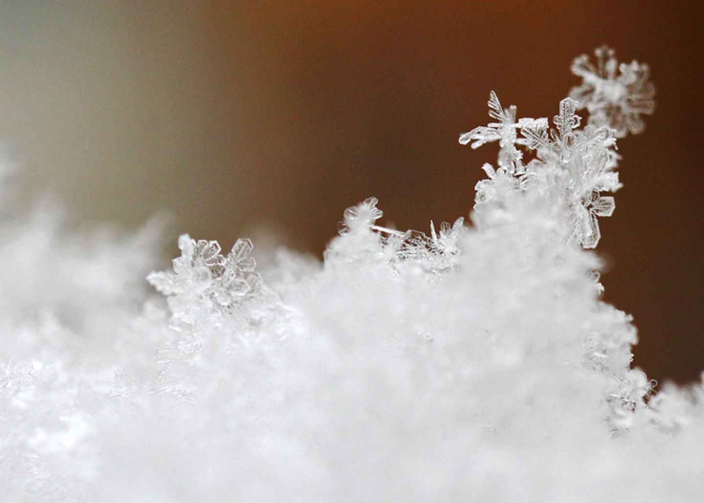 Schneekristalle