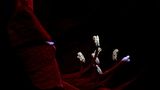 Amaryllis
