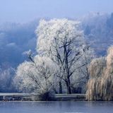 Eisiger Morgen am See