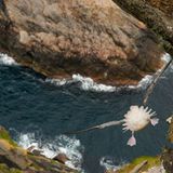 Fotogalerie: Fotogalerie: Der Naturfotograf des Jahres 2010 - Bild 6