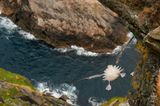 Fotogalerie: Fotogalerie: Der Naturfotograf des Jahres 2010 - Bild 6
