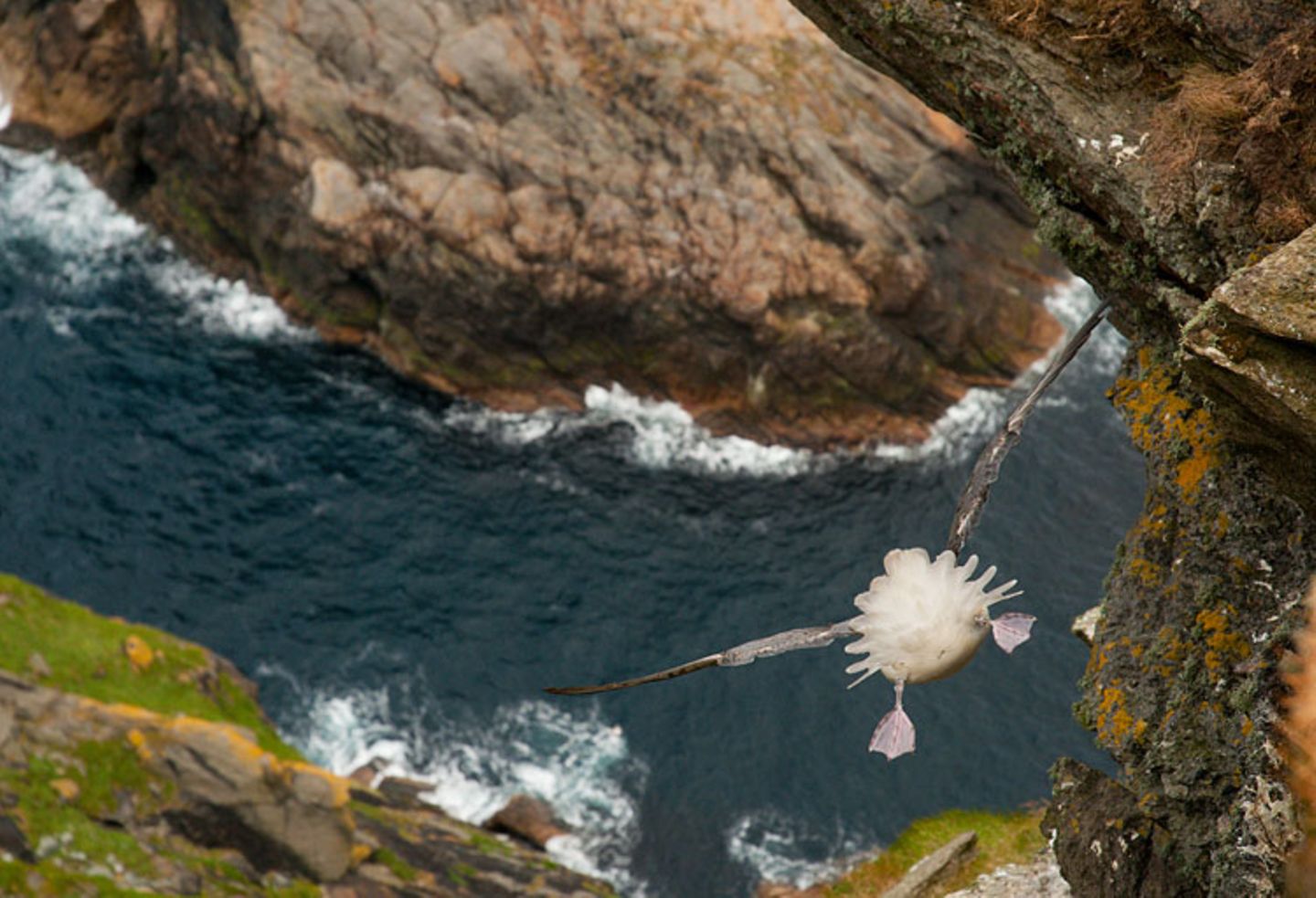 Fotogalerie: Fotogalerie: Der Naturfotograf des Jahres 2010 - Bild 6