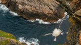 Fotogalerie: Fotogalerie: Der Naturfotograf des Jahres 2010 - Bild 6