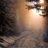 Schneeschuhwanderung in den Tiroler Bergen