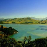 Die Bucht von Hoopers Inlet, Neuseeland