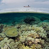 Great Barrier Reef