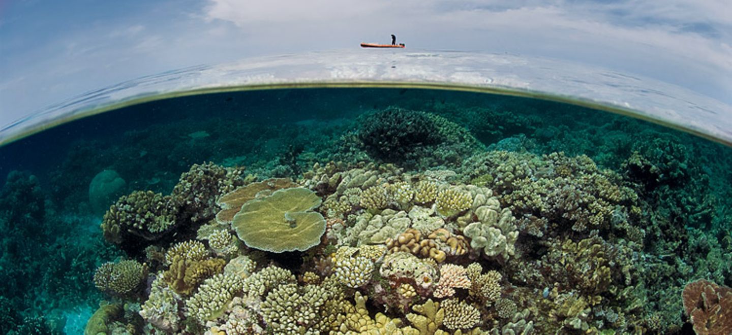Great Barrier Reef Great Barrier Reef
