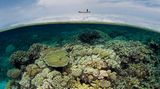 Great Barrier Reef
