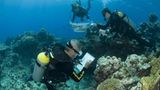 Great Barrier Reef