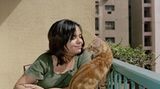 Blogger in Ägypten