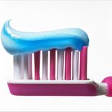 Ernährung: Überraschend tierisch