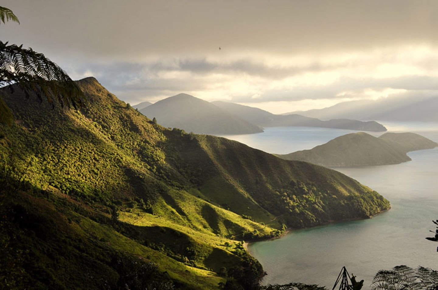 Marlborough Sounds