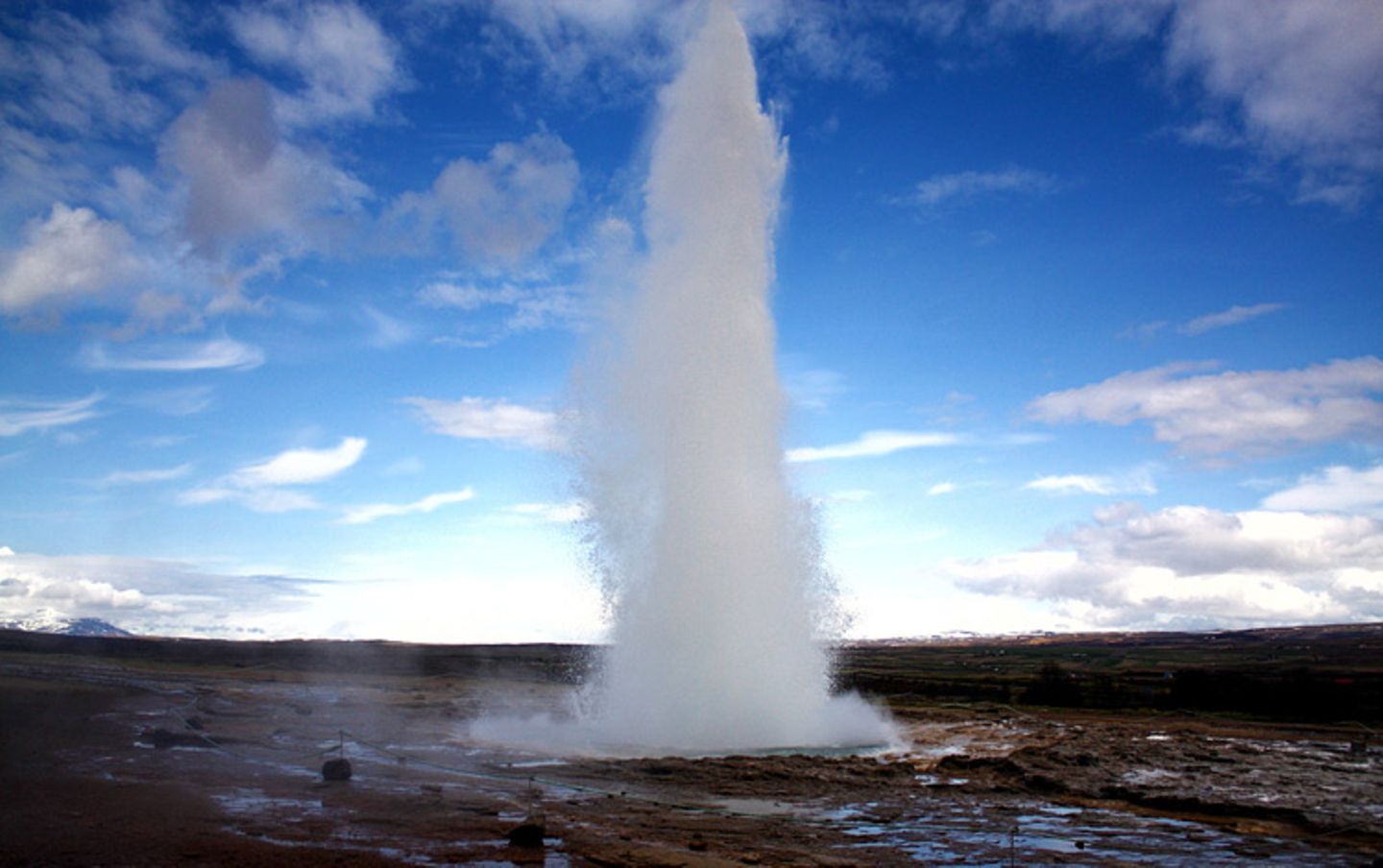 Geysir