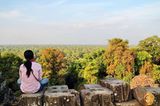 Dschungel bei Angkor