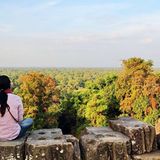 Dschungel bei Angkor