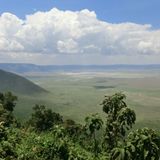 Sascha (Dar es Salaam)