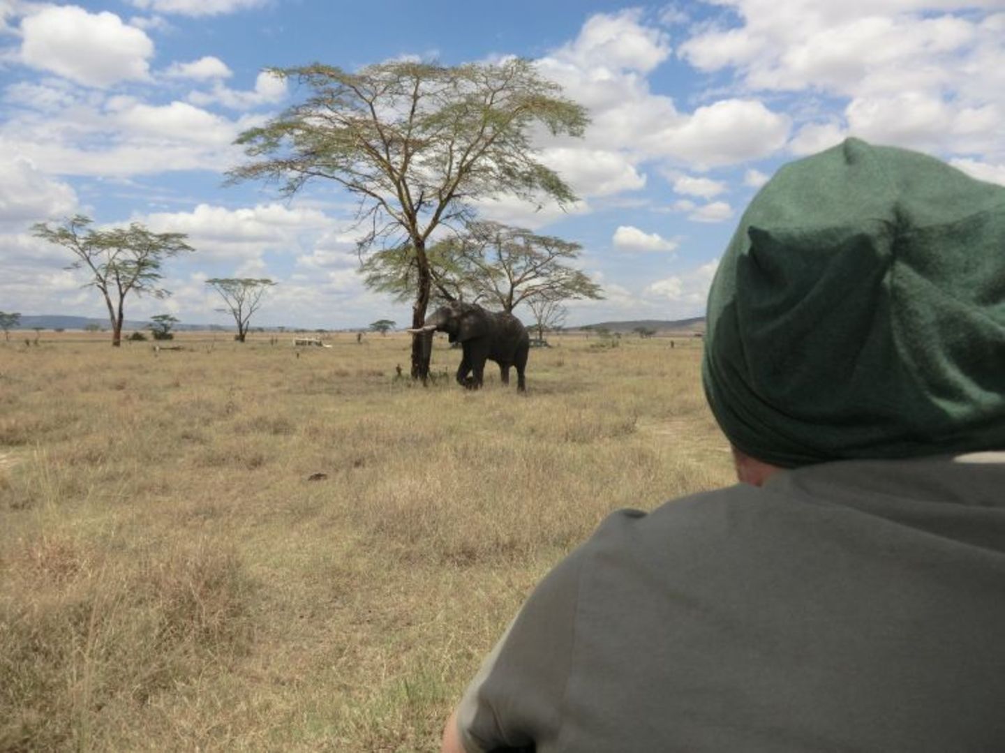 Sascha (Dar es Salaam) - Bild 4