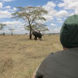 Sascha (Dar es Salaam) - Bild 4