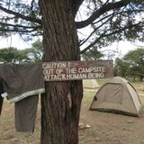 Sascha (Dar es Salaam) - Bild 5