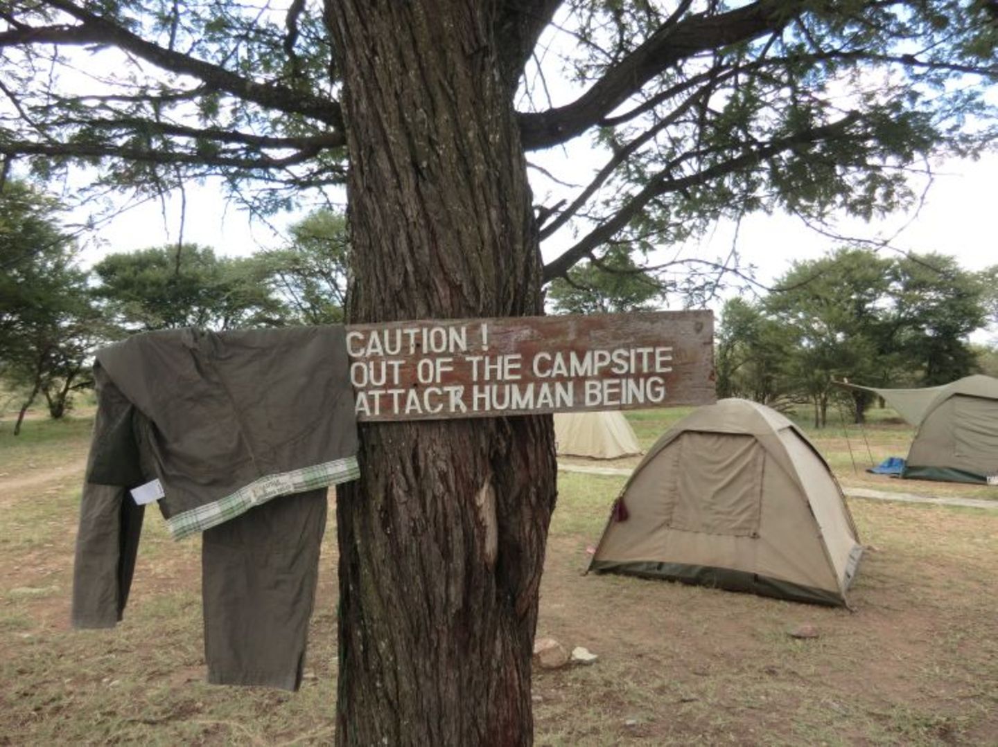 Sascha (Dar es Salaam) - Bild 5