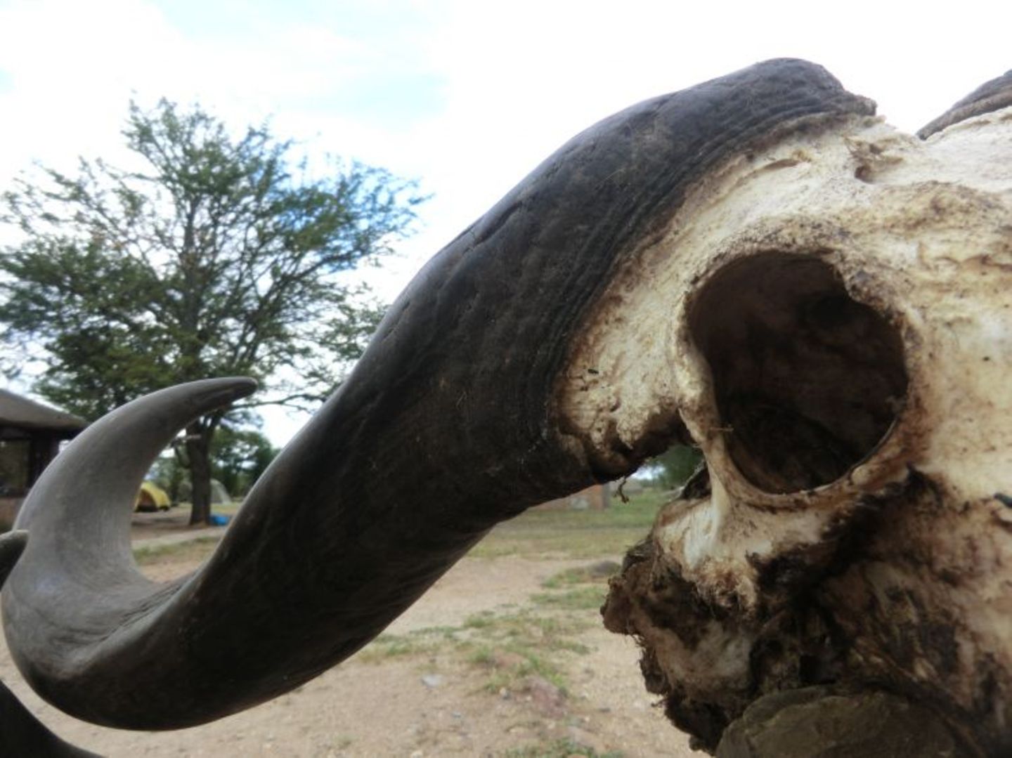 Sascha (Dar es Salaam) - Bild 6