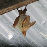 Sascha (Dar es Salaam) - Bild 7