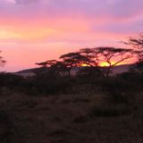 Sascha (Dar es Salaam) - Bild 8