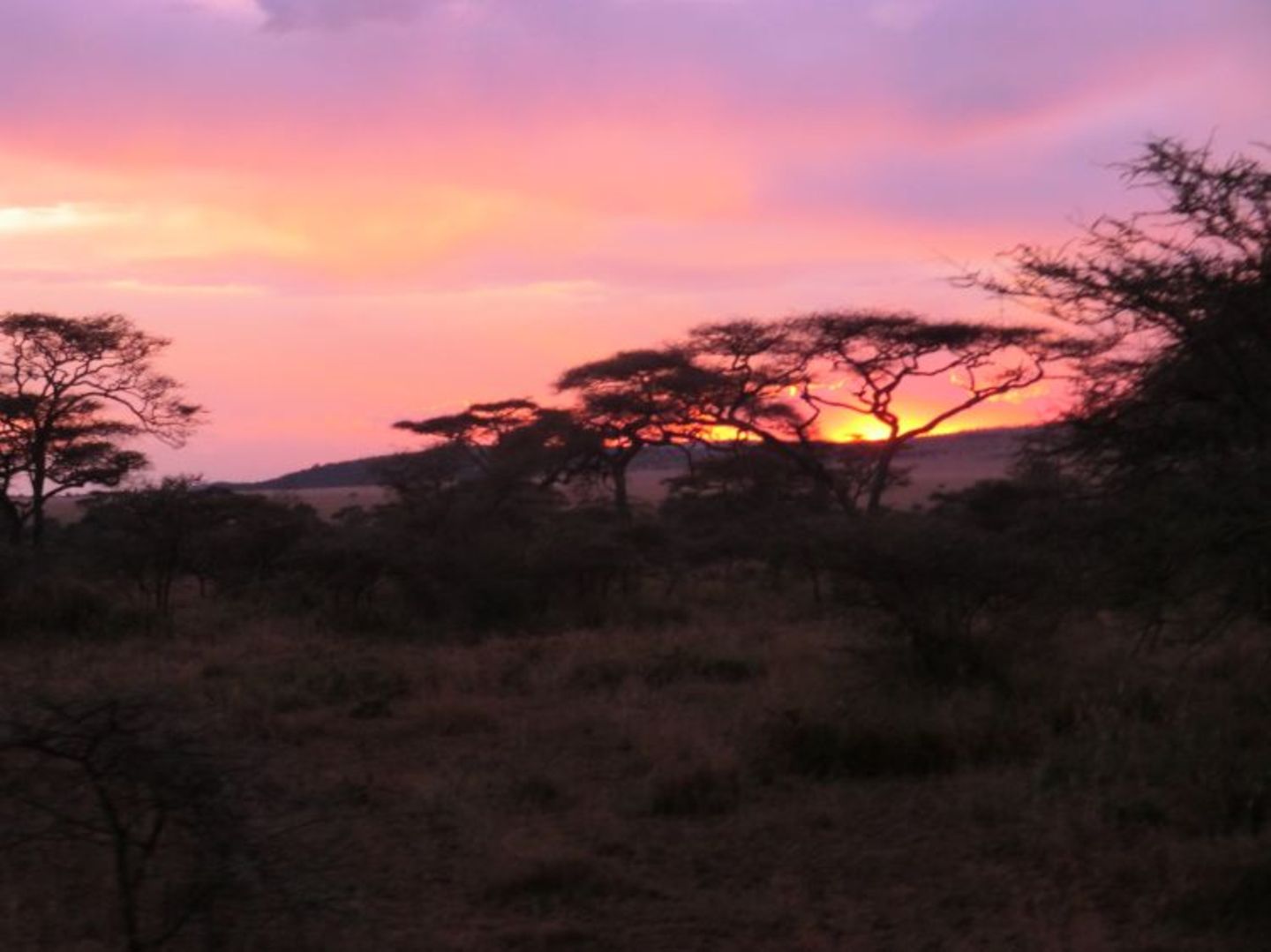 Sascha (Dar es Salaam) - Bild 8