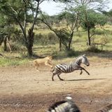 Sascha (Dar es Salaam) - Bild 9