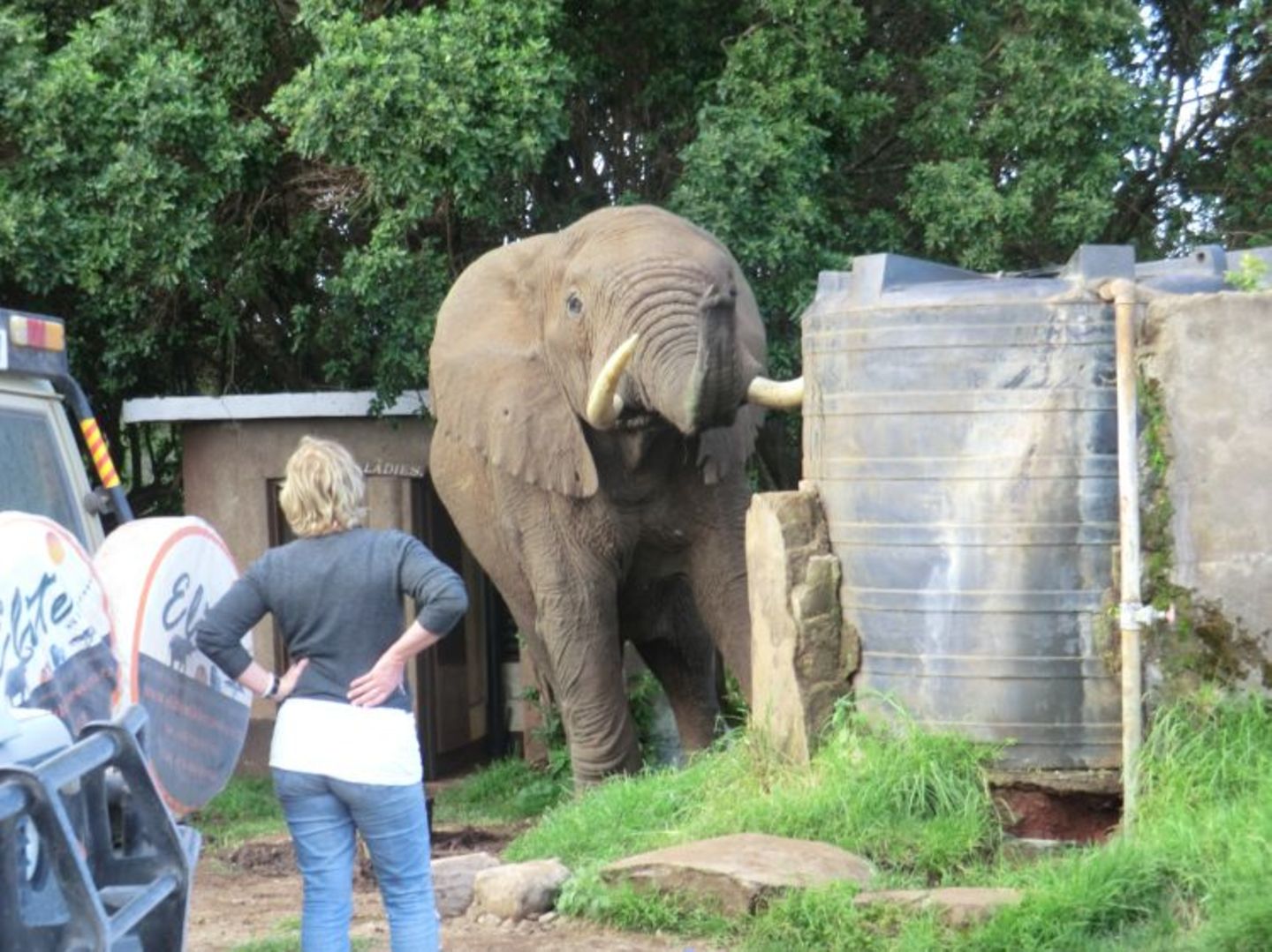 Sascha (Dar es Salaam) - Bild 11