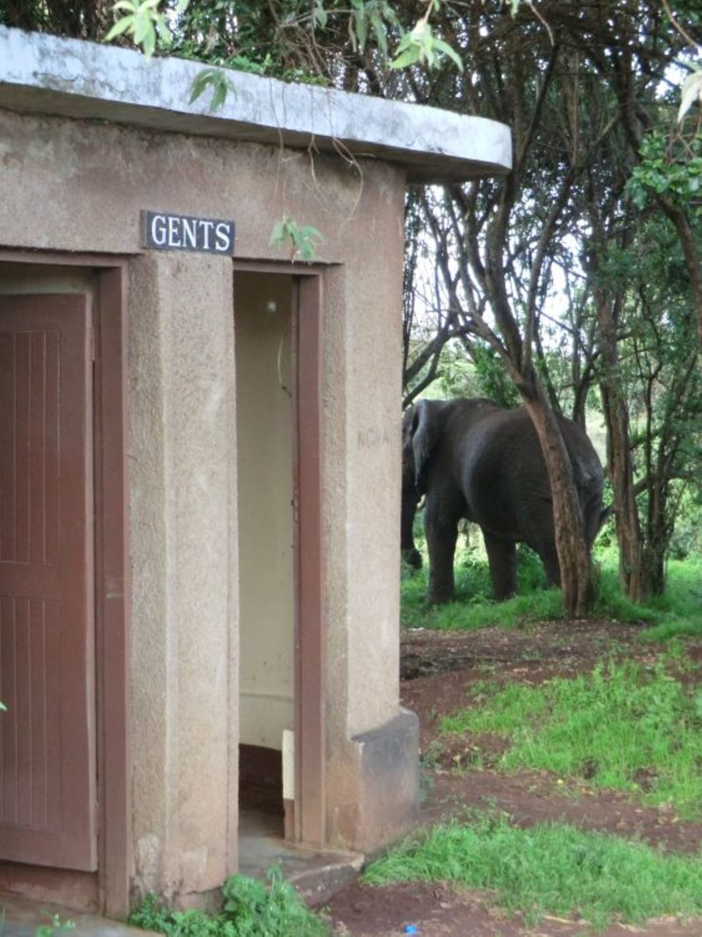 Sascha (Dar es Salaam) - Bild 12