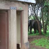 Sascha (Dar es Salaam) - Bild 12