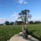 Sascha (Dar es Salaam) - Bild 13