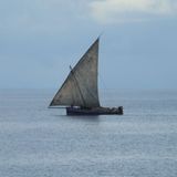 Sascha (Dar es Salaam) - Bild 14