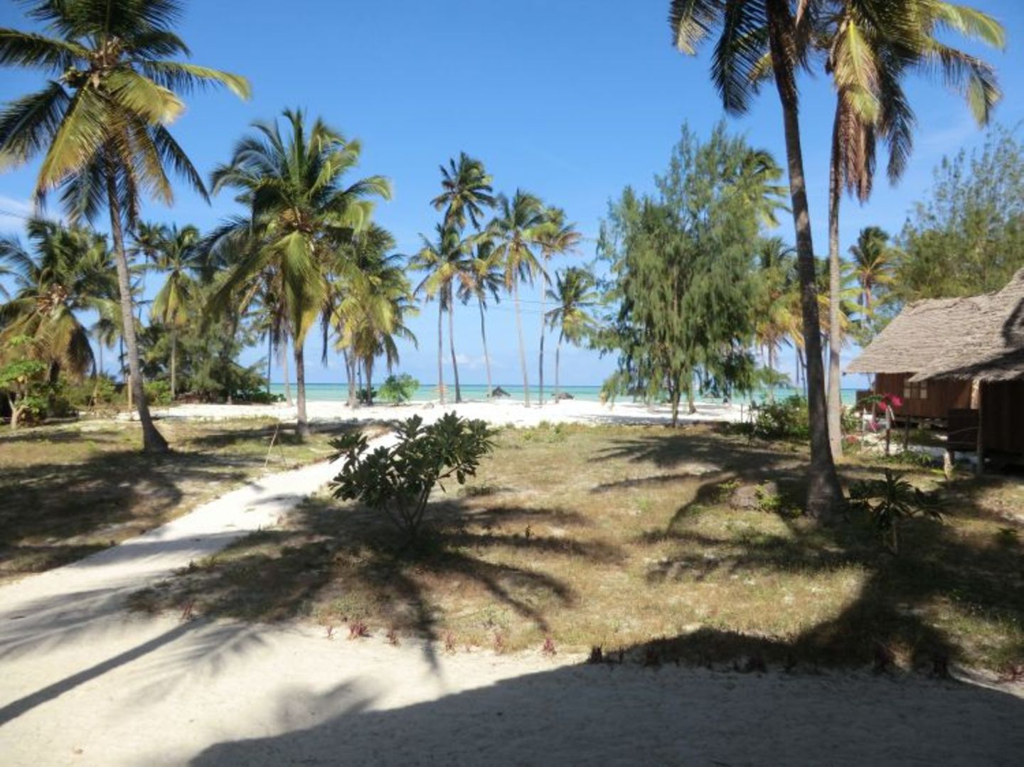 Sascha (Dar es Salaam) - Bild 15