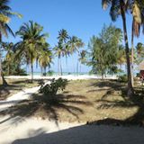 Sascha (Dar es Salaam) - Bild 15