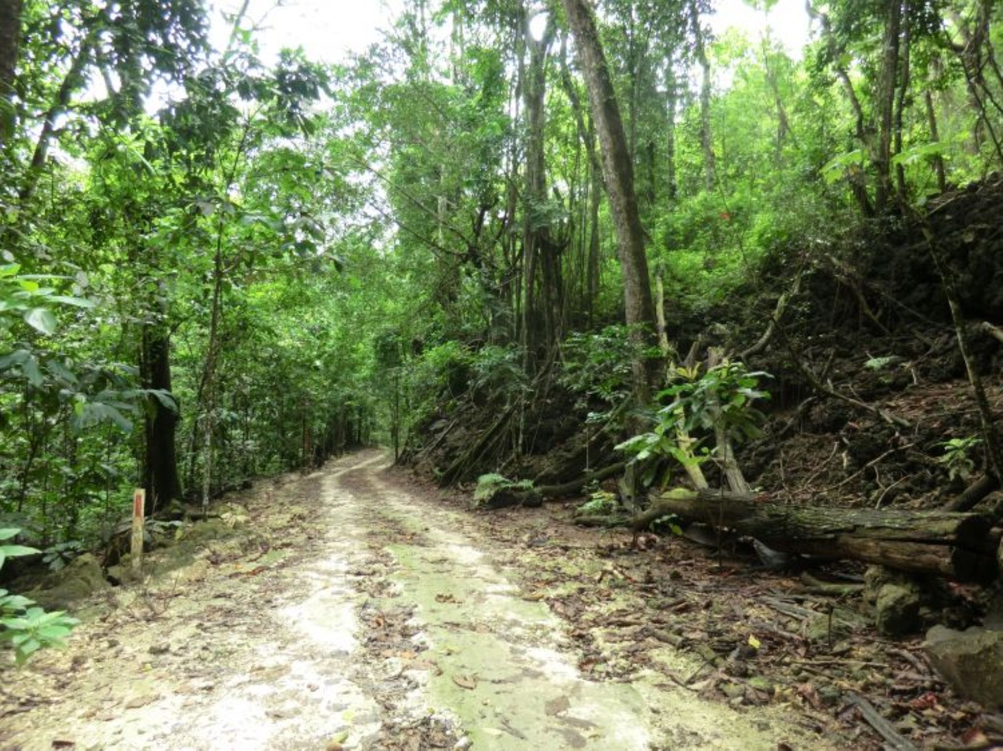 Jolyon (Christmas Island) Bild 12 [GEO]