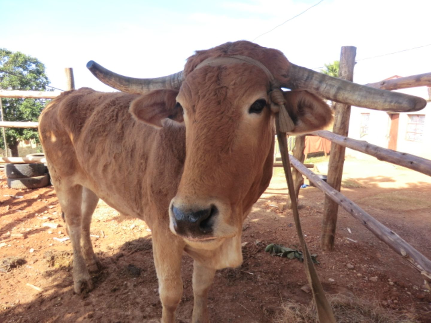 A Camera's Odyssey - Bild 2