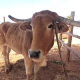 A Camera's Odyssey - Bild 2