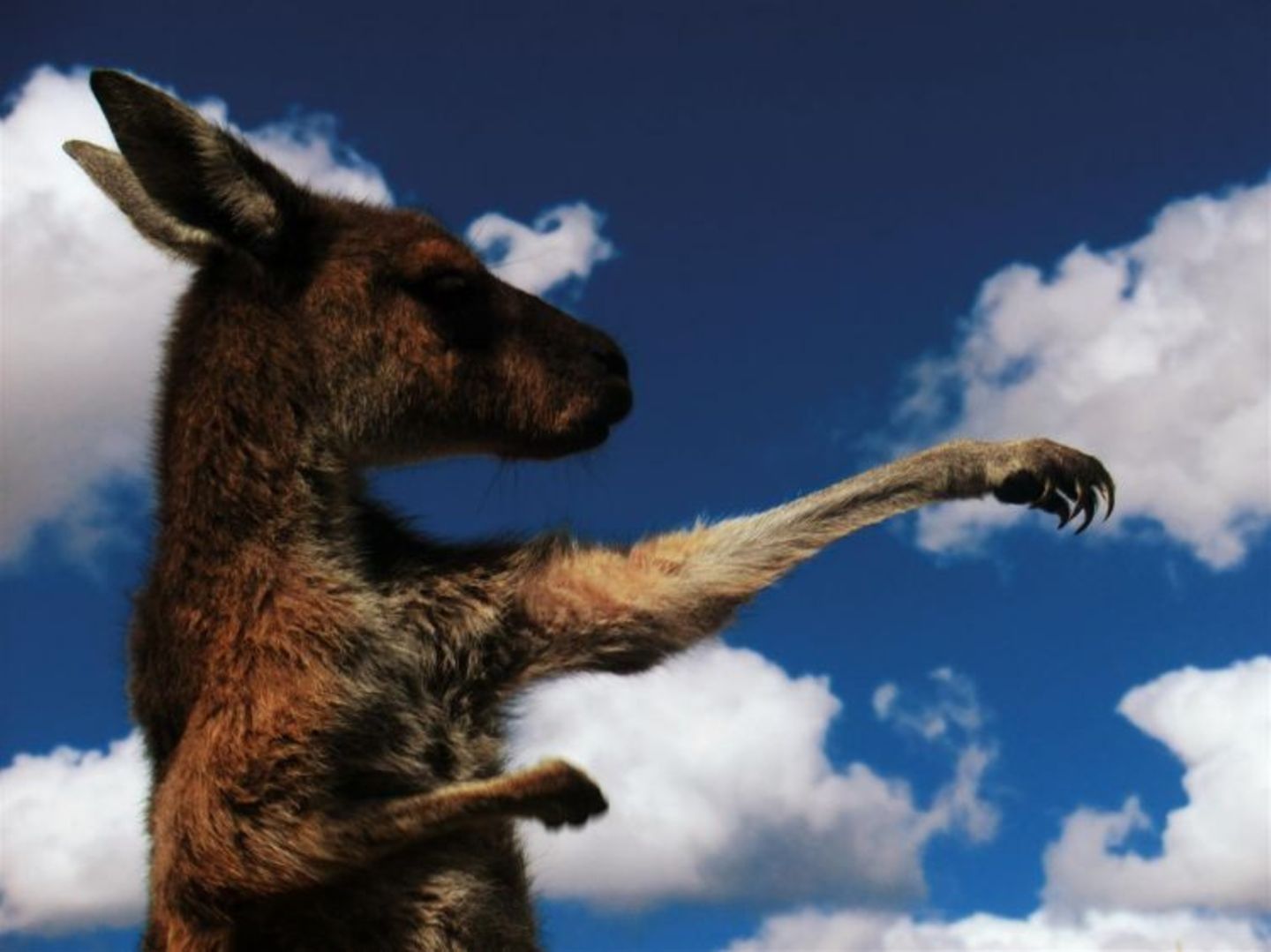 A Camera's Odyssey - Bild 9