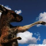 A Camera's Odyssey - Bild 9