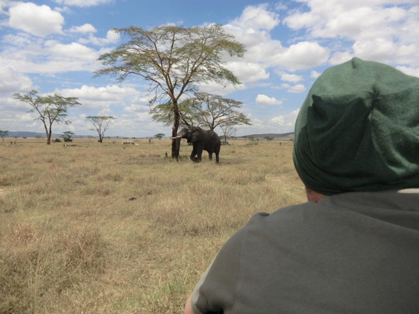 A Camera's Odyssey - Bild 25