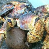 A Camera's Odyssey - Bild 26