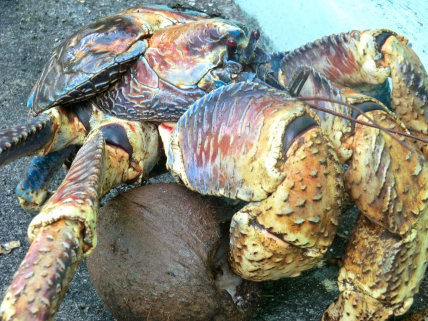 A Camera's Odyssey - Bild 26