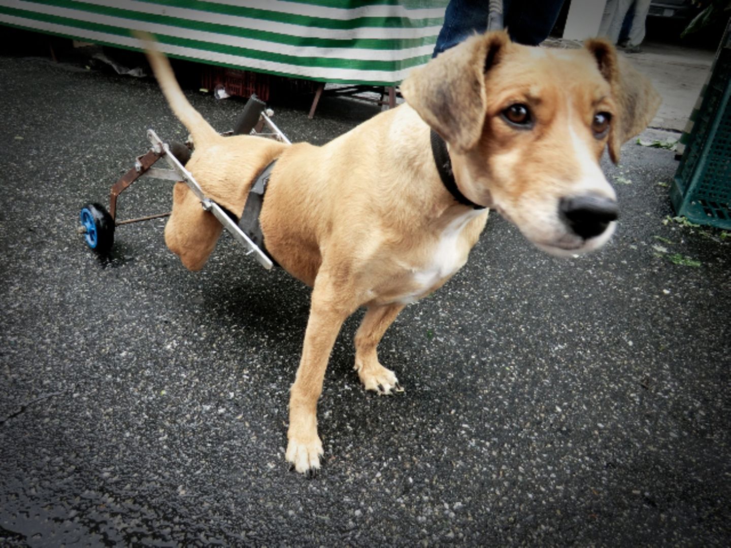 A Camera's Odyssey - Bild 27